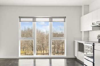 Large Picture Windows at Crystal Flats in Bentonville, AR